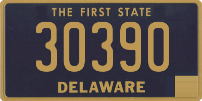 DE license plate 30390