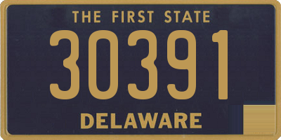 DE license plate 30391