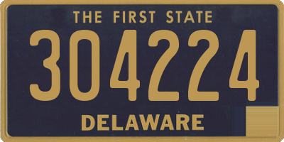 DE license plate 304224