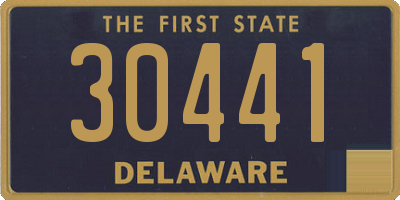 DE license plate 30441