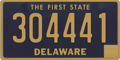 DE license plate 304441
