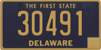 DE license plate 30491