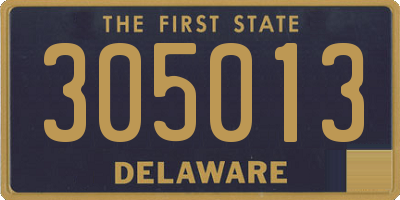 DE license plate 305013