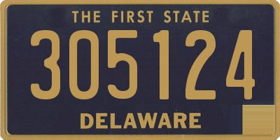 DE license plate 305124