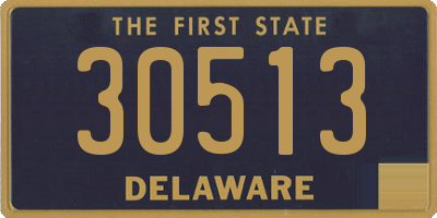 DE license plate 30513