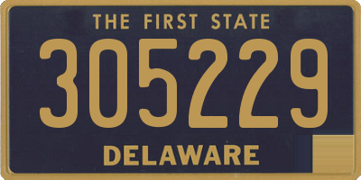 DE license plate 305229