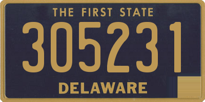 DE license plate 305231