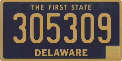 DE license plate 305309