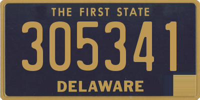 DE license plate 305341