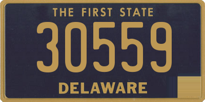 DE license plate 30559