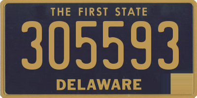 DE license plate 305593