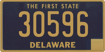 DE license plate 30596