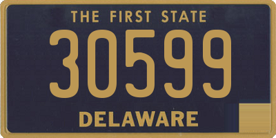 DE license plate 30599