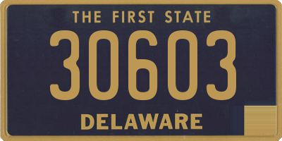 DE license plate 30603