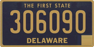 DE license plate 306090