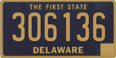 DE license plate 306136
