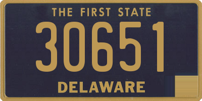 DE license plate 30651