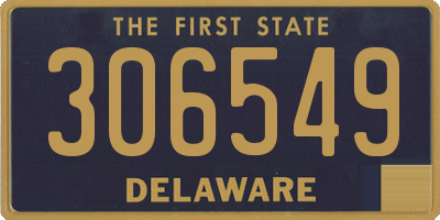 DE license plate 306549