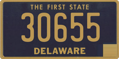 DE license plate 30655