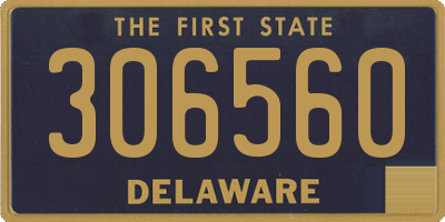 DE license plate 306560