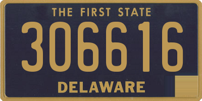 DE license plate 306616
