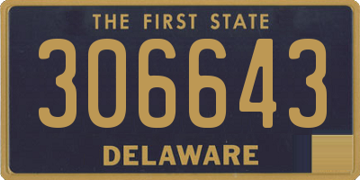 DE license plate 306643