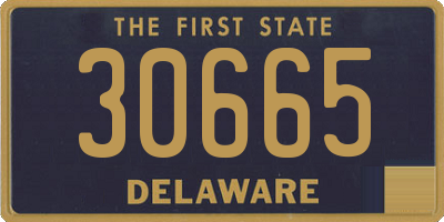 DE license plate 30665