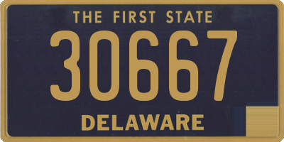 DE license plate 30667