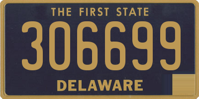 DE license plate 306699