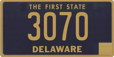 DE license plate 3070