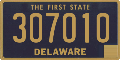 DE license plate 307010
