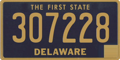 DE license plate 307228
