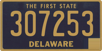 DE license plate 307253