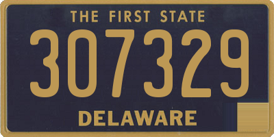 DE license plate 307329