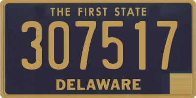 DE license plate 307517