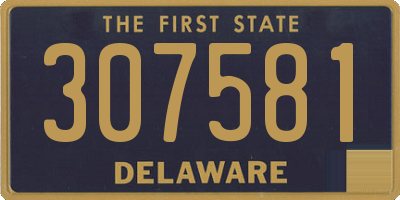 DE license plate 307581