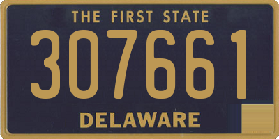 DE license plate 307661