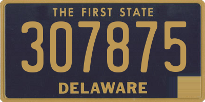 DE license plate 307875