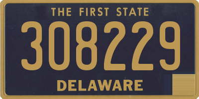 DE license plate 308229