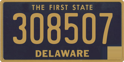 DE license plate 308507