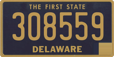 DE license plate 308559