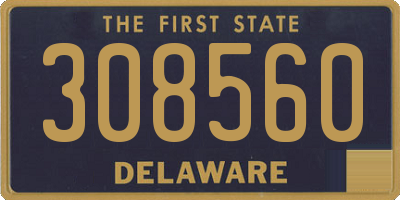 DE license plate 308560