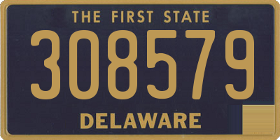 DE license plate 308579