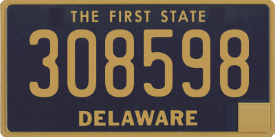 DE license plate 308598