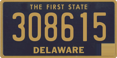 DE license plate 308615