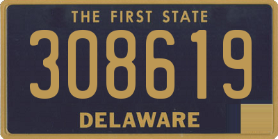 DE license plate 308619