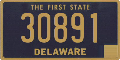 DE license plate 30891