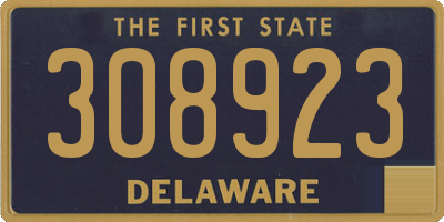 DE license plate 308923