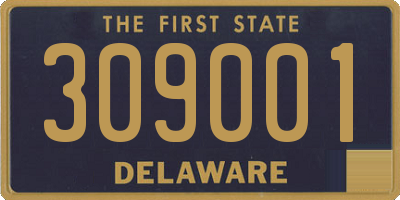 DE license plate 309001