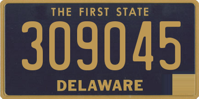 DE license plate 309045